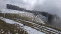 20260318_105902.jpg