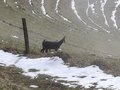 20260318_110020.jpg