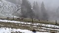 20260318_110108.jpg