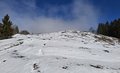 20260318_112123.jpg