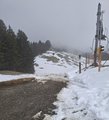 20260318_114316.jpg