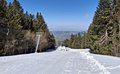 20260318_131947.jpg