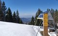20260318_132309.jpg