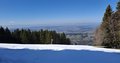 20260318_132544.jpg