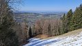 20260318_135802.jpg