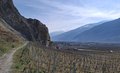 20260324_094808.jpg