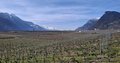 20260324_094947.jpg