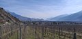 20260324_095046.jpg