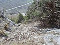 20260324_103835.jpg