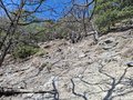 20260324_104427.jpg