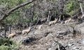 20260324_104431.jpg