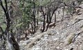 20260324_104800.jpg