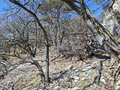 20260324_105348.jpg