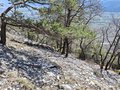 20260324_105350.jpg
