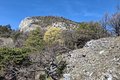 20260324_110626.jpg
