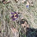 20260324_115448.jpg
