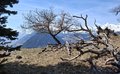 20260324_115828.jpg