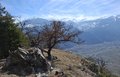 20260324_120713.jpg