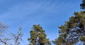 20260324_122023.jpg