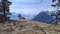20260324_123555.jpg