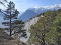 20260324_132757.jpg