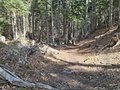 20260324_133358.jpg