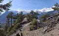 20260324_133723.jpg