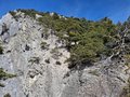 20260324_133754.jpg