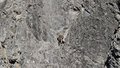 20260324_133801.jpg