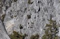 20260324_134250.jpg