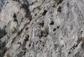 20260324_134441.jpg