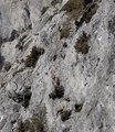 20260324_134553.jpg