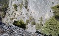 20260324_135030.jpg