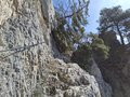 20260324_135432.jpg