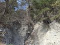 20260324_150014.jpg