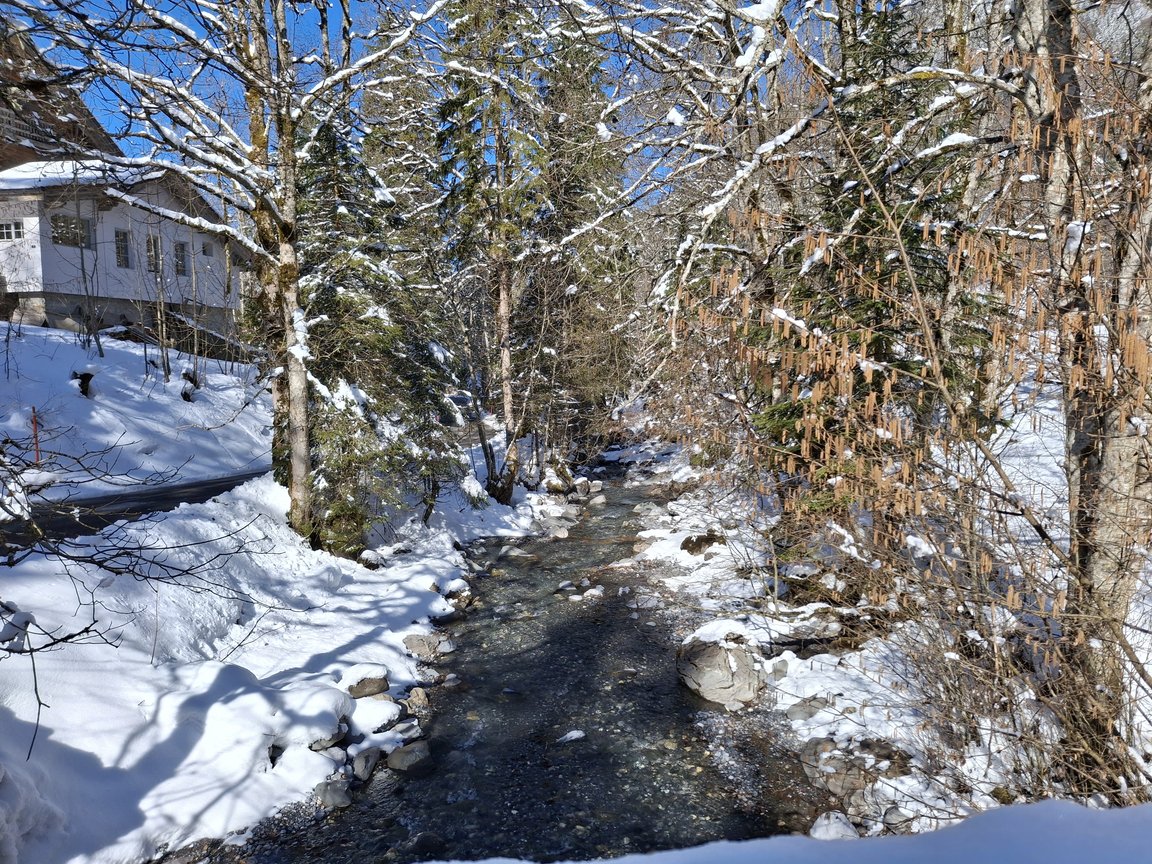 20260401_103952.jpg