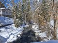 20260401_103952.jpg