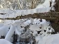 20260401_110747.jpg
