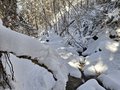 20260401_110750.jpg
