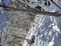 20260401_110941.jpg