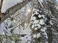 20260401_110948.jpg