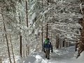 20260401_112616.jpg