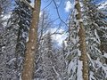 20260401_113254.jpg