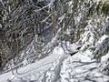 20260401_113637.jpg