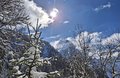 20260401_113704.jpg