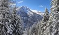 20260401_114602.jpg