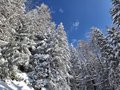 20260401_114637.jpg