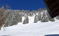 20260401_115821.jpg
