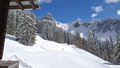 20260401_123722.jpg