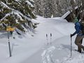 20260401_124721.jpg